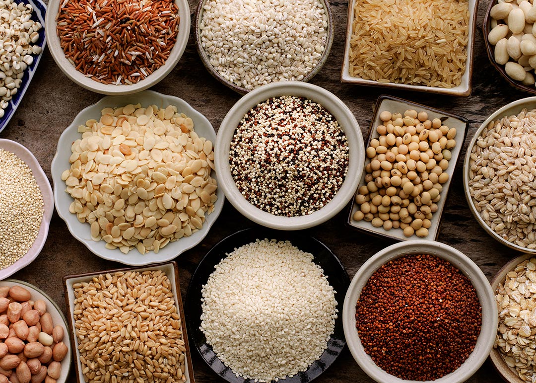 Fibra: A Grande Aliada da Sua Digestão e Saciedade - inspiração 2