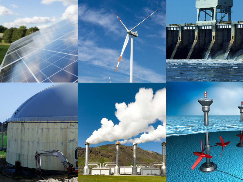 Alimentação com Propósito: Sabores Locais e Menos Desperdício - inspiração 1