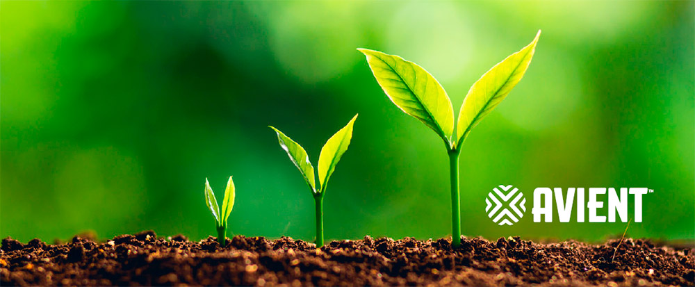 Energia e Água: Economia Inteligente e Consciência Ambiental - inspiração 1