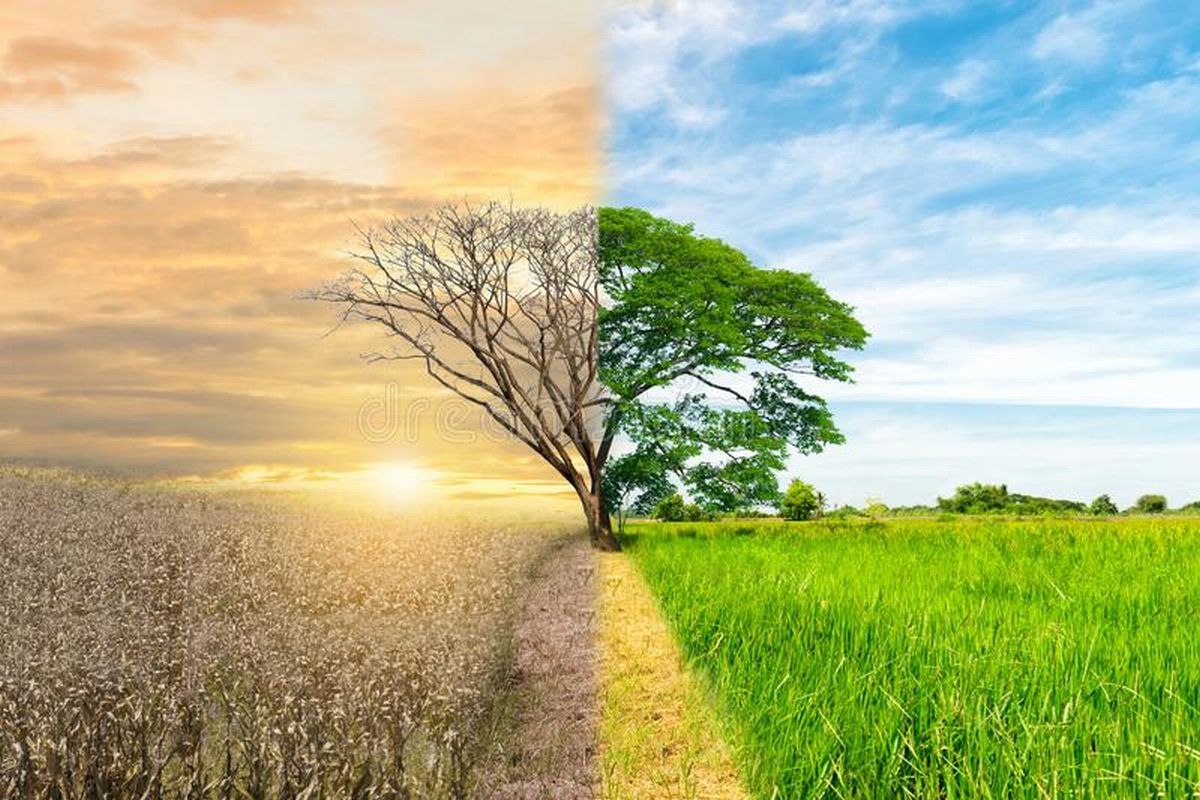 Energia e Água: Economia Inteligente e Consciência Ambiental - inspiração 2