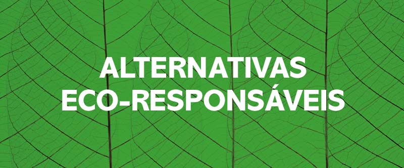 Transporte Sustentável: Movimentando-se com Menos Pegada - inspiração 1