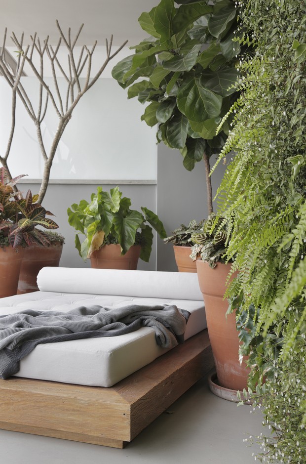 A Importância da Iluminação Aconchegante - inspiração 2