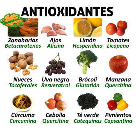 Antioxidantes: O Que São e Por Que Você Precisa Deles - inspiração 2
