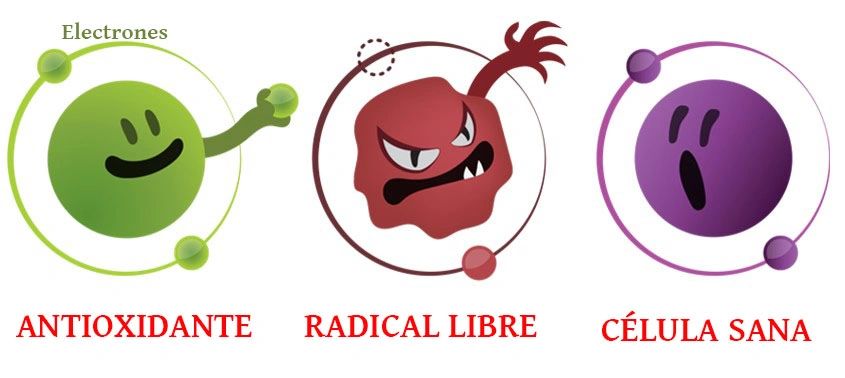 Chás e Especiarias: Pequenos Prazeres com Grandes Benefícios - inspiração 2