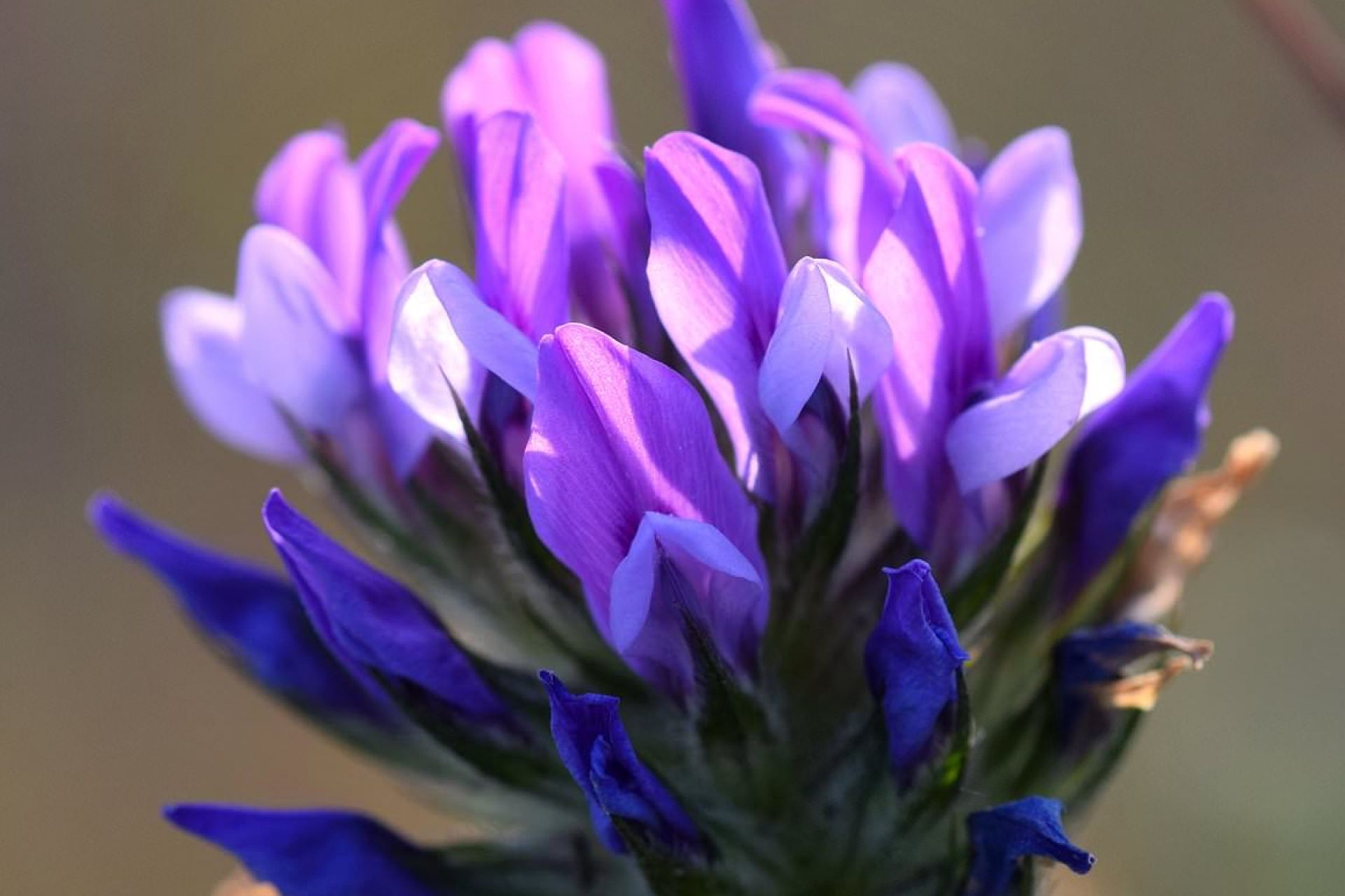 Melhora a Textura da Pele - inspiração 2