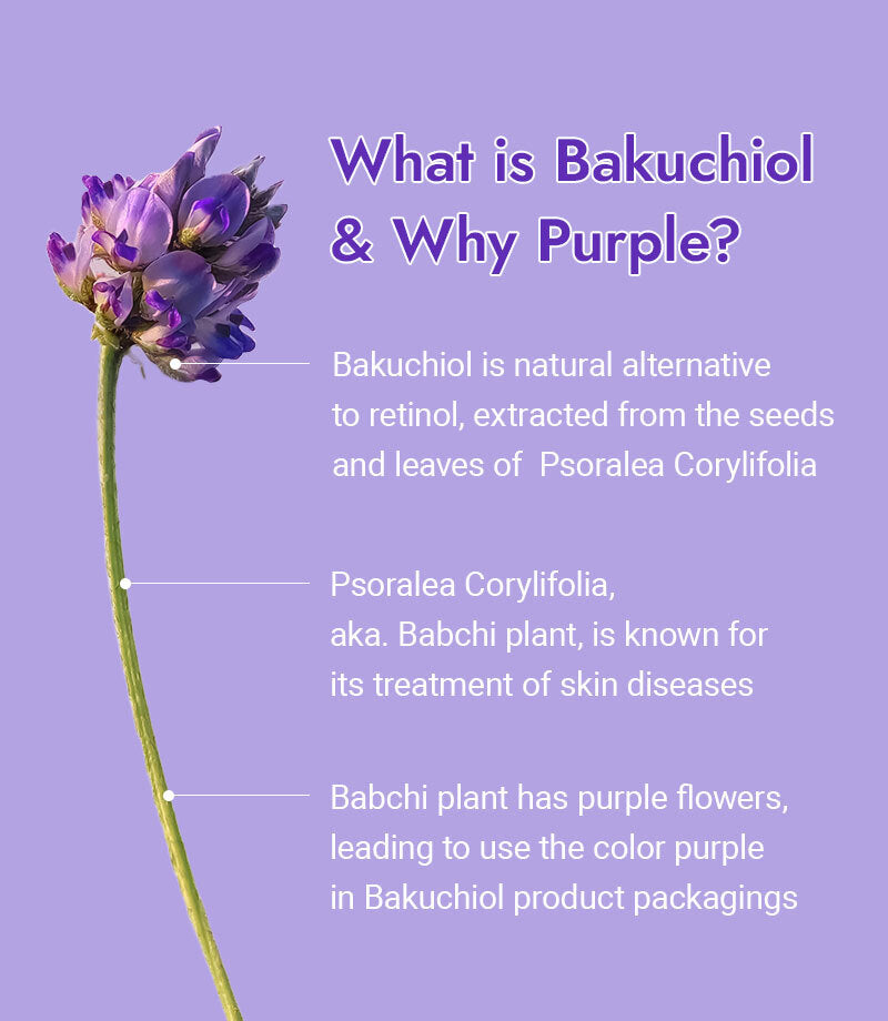 Uniformiza o Tom da Pele - inspiração 1