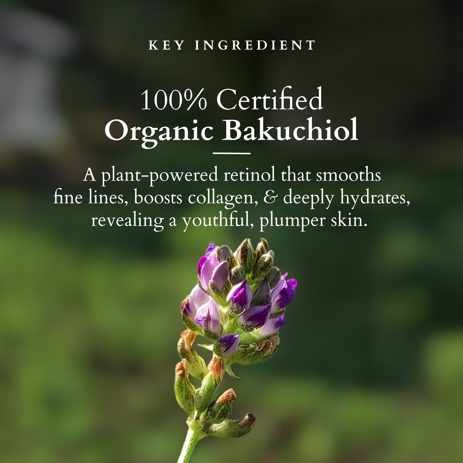 Uniformiza o Tom da Pele - inspiração 2