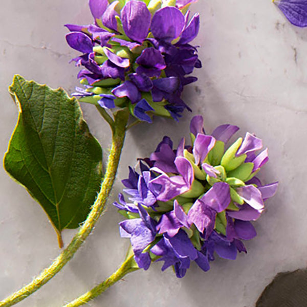 Reduz Manchas e Hiperpigmentação - inspiração 2