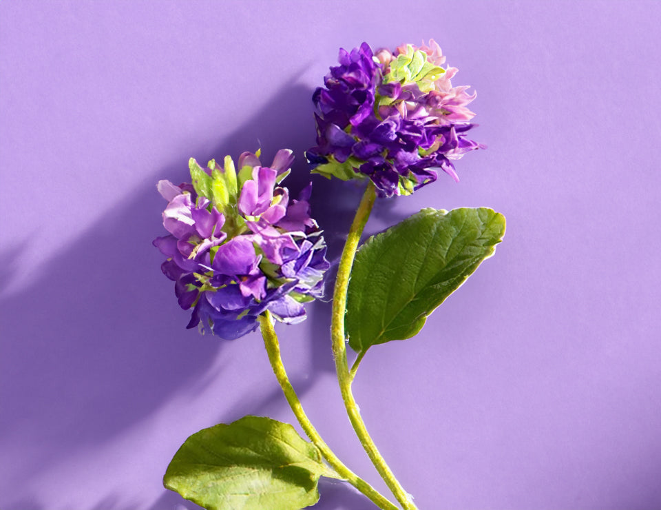 Auxilia no Controle da Oleosidade - inspiração 1