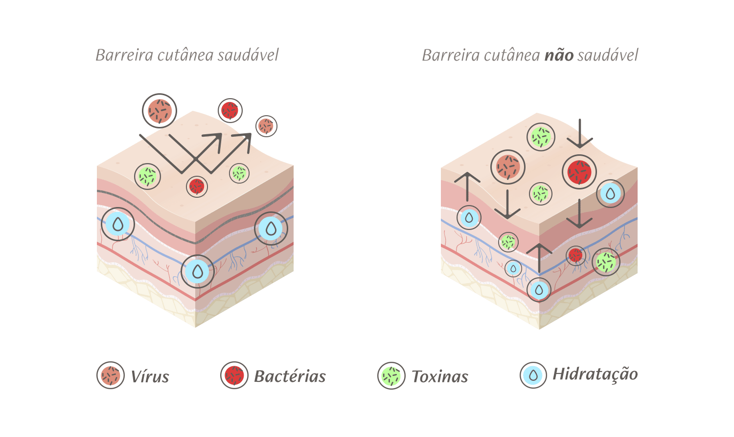 O Que é a Barreira Cutânea e Por Que Ela é Tão Importante? - inspiração 2