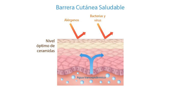 Os Vilões da Barreira Cutânea: O Que Evitar no Dia a Dia - inspiração 2