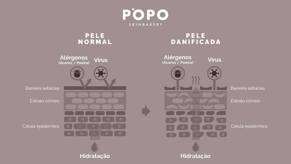 Rotina de Skincare Ideal para uma Barreira Cutânea Saudável - inspiração 1