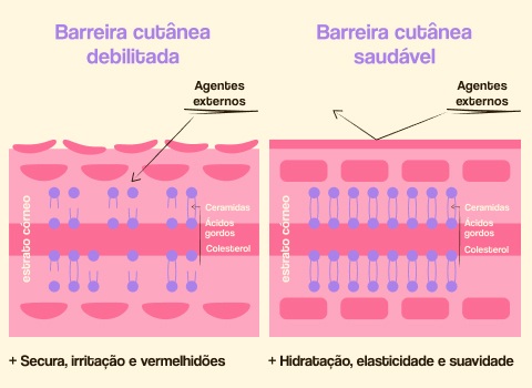 Limpeza Suave: O Primeiro Passo para Não Agredir Sua Pele - inspiração 2