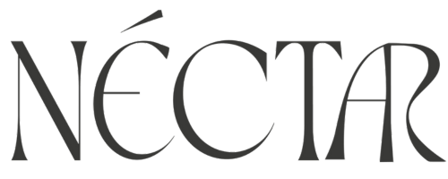 Cuidados com a Pele Conscientes: Escolhas que Nutrem e Respeitam - inspiração 1