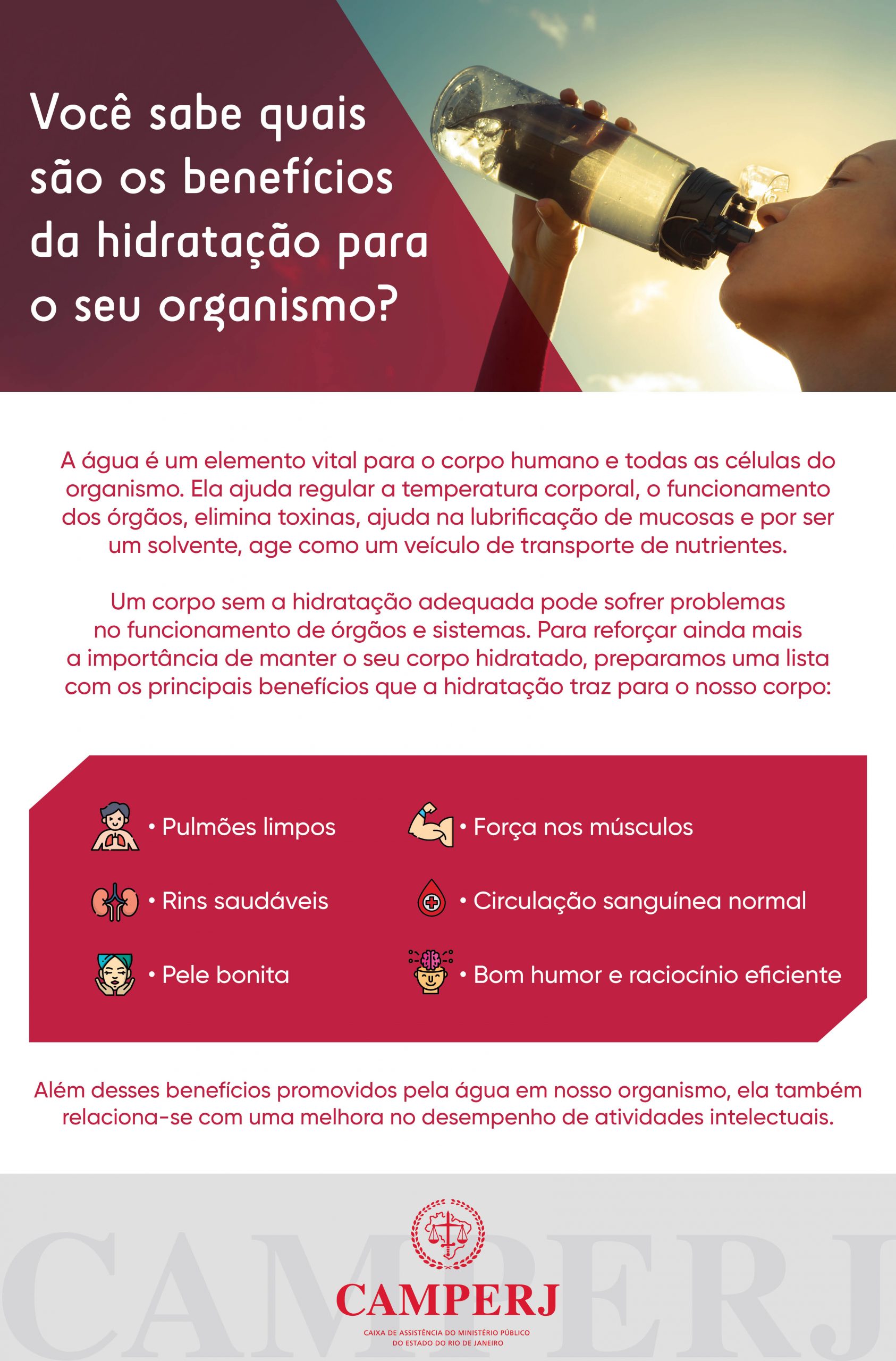 Cabelos sedosos e cheios de vida - inspiração 2