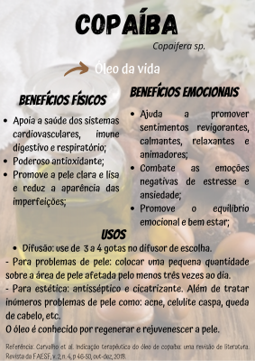 Ação anti-inflamatória para uma pele mais calma - inspiração 1