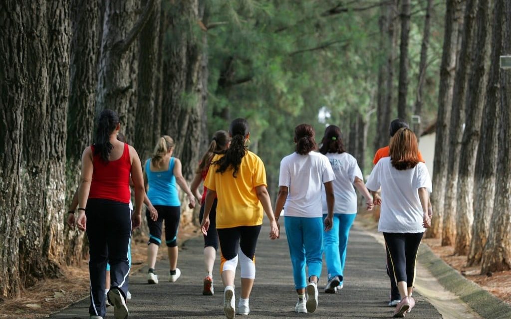 Caminhada em Grupo: Motivação e Conexão - inspiração 1