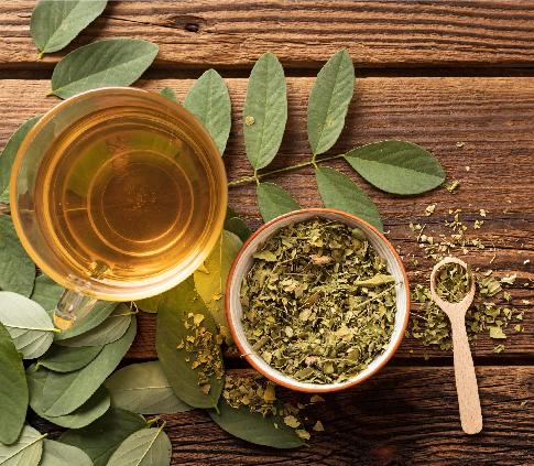 Chá Verde Para Emagrecer: Mitos e Verdades Revelados - inspiração 2