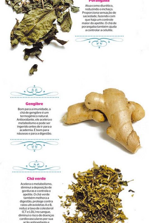 Chá de Erva-Cidreira: A Doçura que Acalma e Renova - inspiração 2