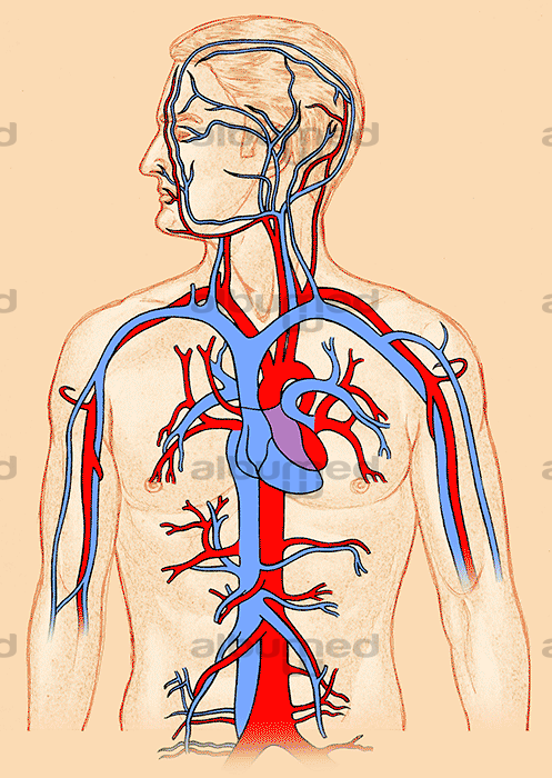 Atenção aos Sinais: Quando Procurar Ajuda Profissional - inspiração 1
