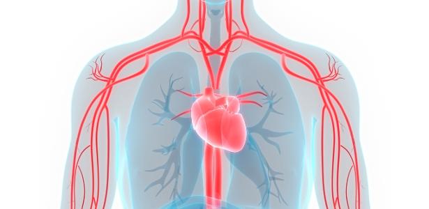 Hidratação: O Elixir Essencial para Vasos Flexíveis - inspiração 1