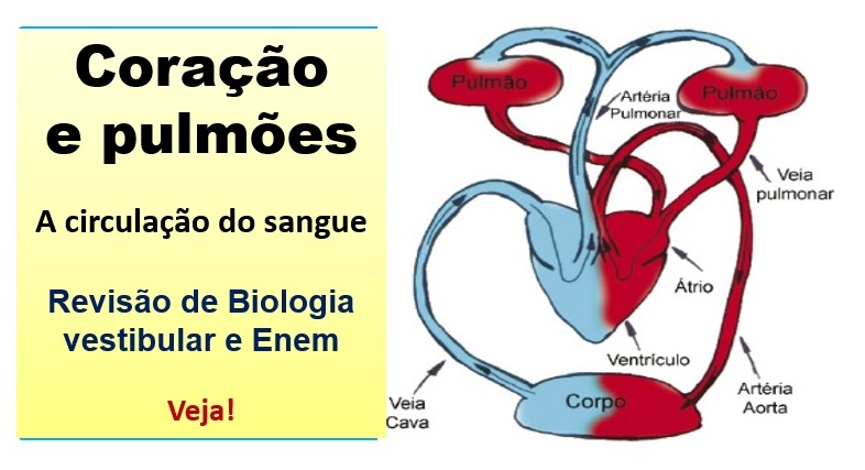 O Poder do Calor e do Frio: Alternando para Estimular o Fluxo - inspiração 1