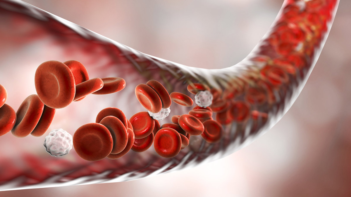 Evitando o Sedentarismo: Pequenas Pausas que Fazem Grande Diferença - inspiração 1