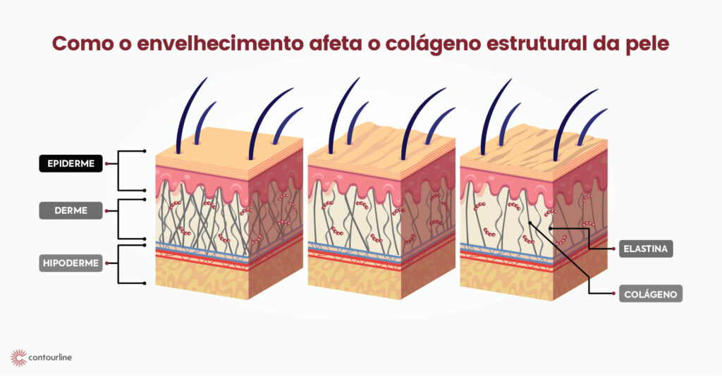 O papel da alimentação na síntese de colágeno - inspiração 1