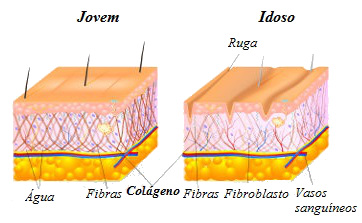 Protegendo o colágeno: os inimigos da sua pele - inspiração 2