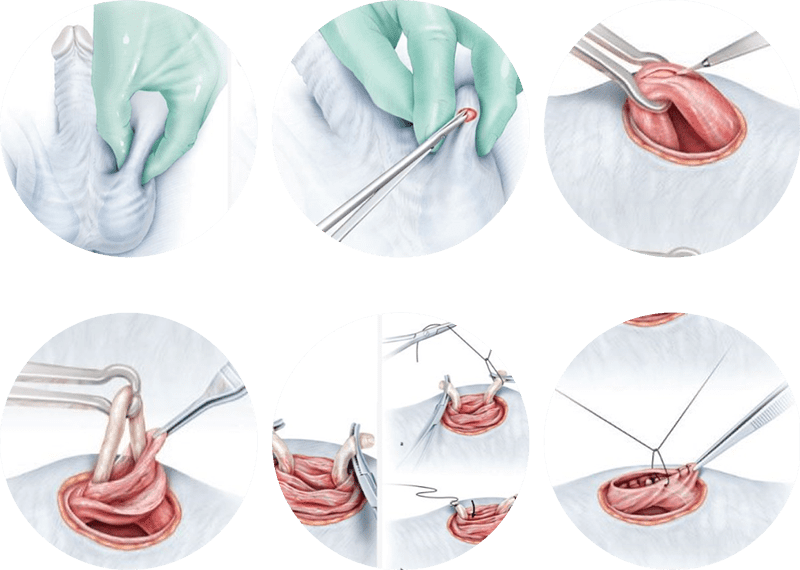 O Processo de Consulta e Avaliação Médica - inspiração 1