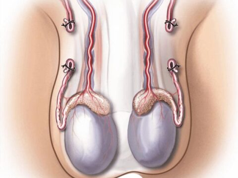 O Processo de Consulta e Avaliação Médica - inspiração 2