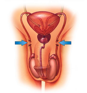 Eficácia e Confiança do Método Contraceptivo - inspiração 1