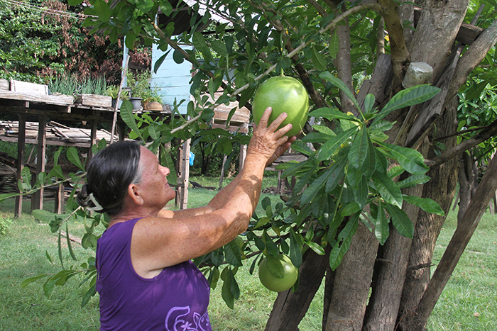 Seleção da Cabacinha Ideal: O Ponto de Partida Essencial - inspiração 2