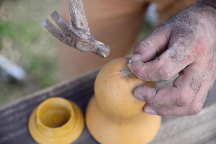 Preparação e Higienização da Cabacinha: Garantindo Durabilidade - inspiração 1