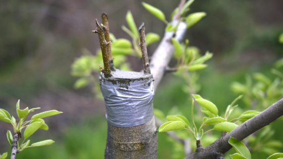 Ferramentas Essenciais: O Que Não Pode Faltar - inspiração 1