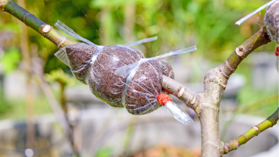 Ferramentas Essenciais: O Que Não Pode Faltar - inspiração 2