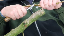 Como Fazer a União Perfeita Entre as Partes - inspiração 2