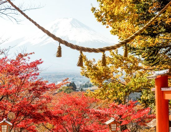 Dicas de segurança: Aproveitando a experiência com tranquilidade - inspiração 2