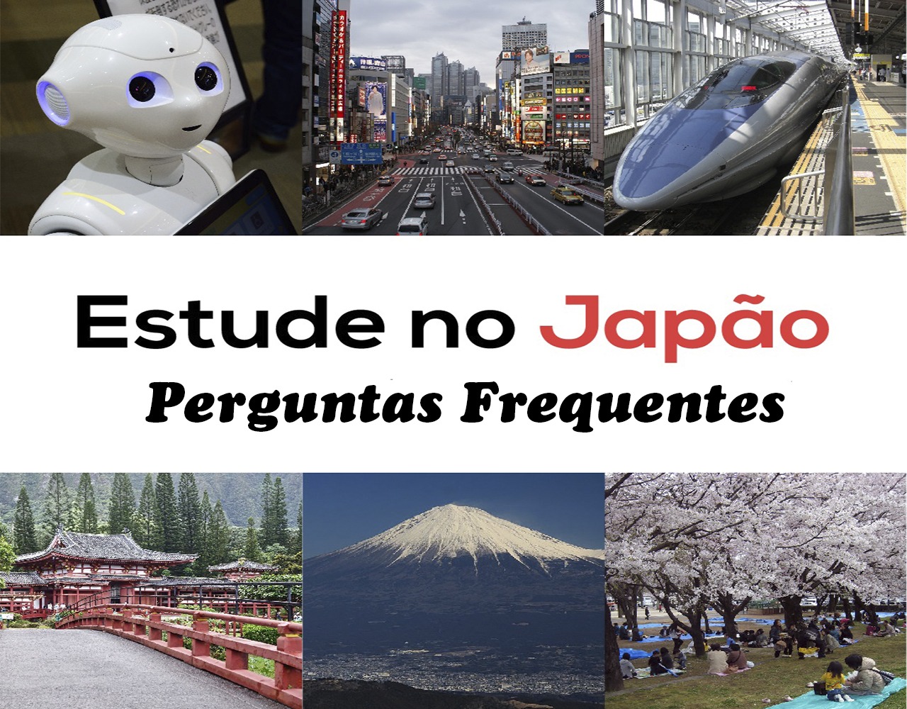 Escolhendo o programa ideal: Idioma, estudo ou trabalho? - inspiração 1
