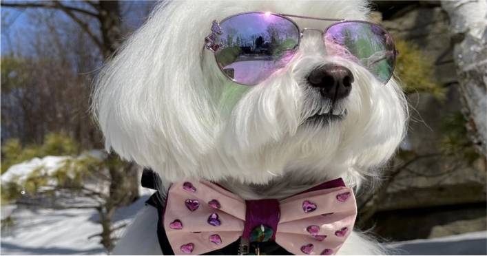 Acabamentos que Fazem a Diferença: Pontos e Detalhes - inspiração 2