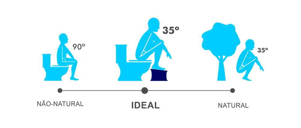 Fibras: As Verdadeiras Aliadas do Trânsito Intestinal - inspiração 1