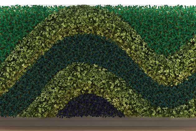 Sistema de Irrigação: A Água na Medida Certa - inspiração 1