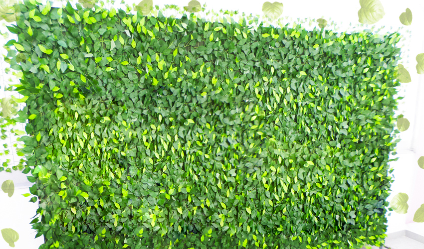 Sistema de Irrigação: A Água na Medida Certa - inspiração 2