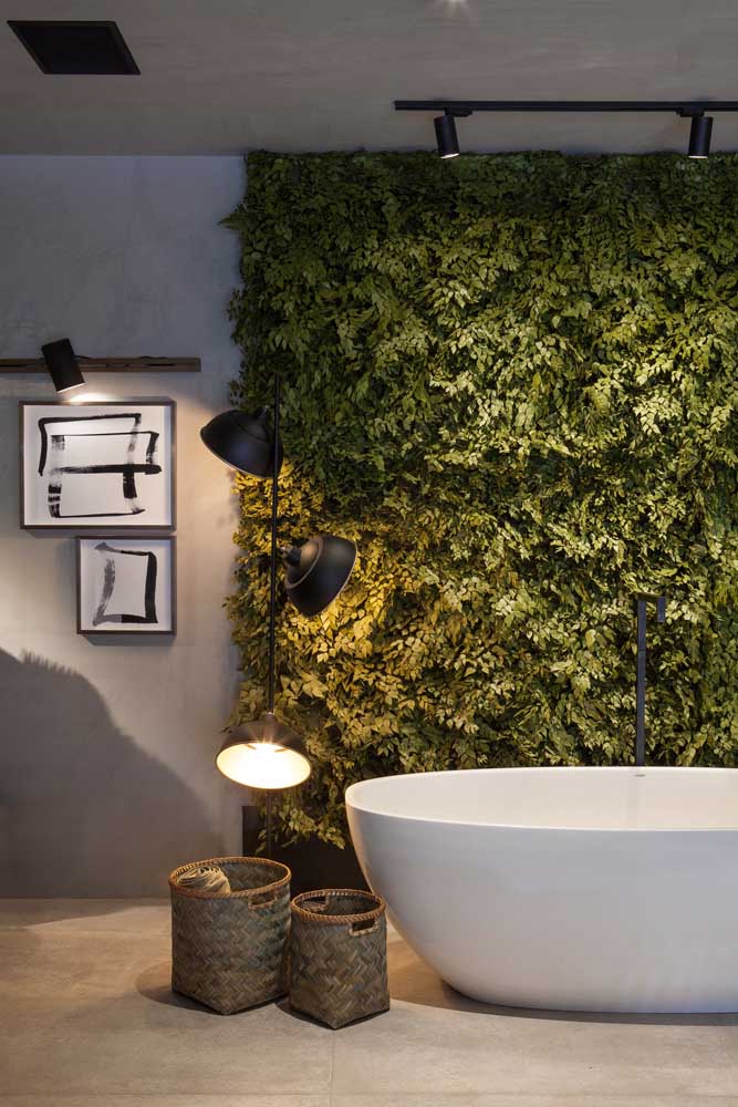 Iluminação Adequada: Luz para Cada Planta - inspiração 1