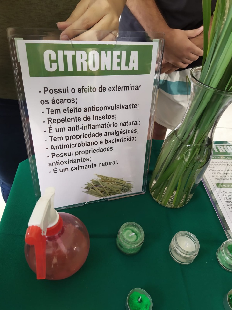 Repelente de Citronela e Alecrim: O Clássico Refrescante - inspiração 2