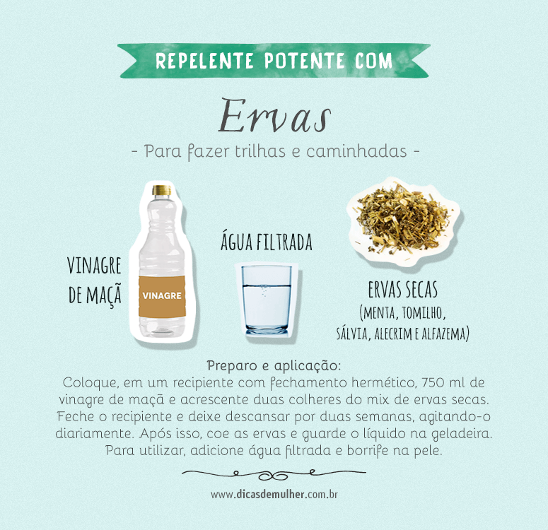 Mistura de Eucalipto e Cravo: Potência Aromática Contra Insetos - inspiração 1