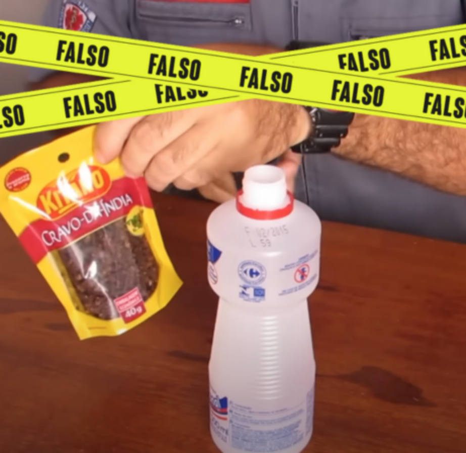 Mistura de Eucalipto e Cravo: Potência Aromática Contra Insetos - inspiração 2