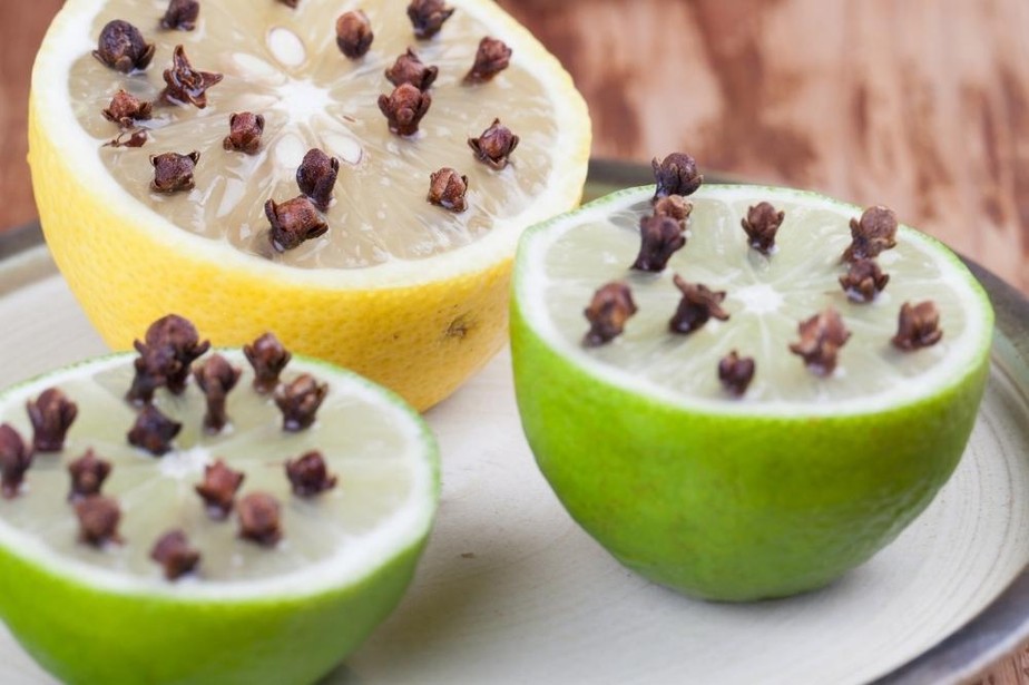 Óleo de Lavanda e Hortelã: Dupla Delicada e Protetora - inspiração 1