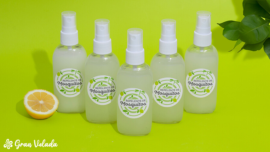 Combinação de Ervas Secas: Uma Opção Duradoura - inspiração 1