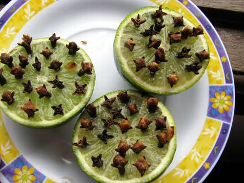 Repelente em Spray com Álcool: Secagem Rápida e Eficiência - inspiração 1